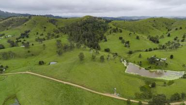 Farm For Sale - NSW - Bunyah - 2429 - Scenic Acres with Building Potential  (Image 2)