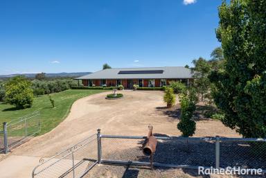 Farm Sold - NSW - Springvale - 2650 - A Slice of Paradise  (Image 2)