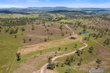 Farm Sold - QLD - Goomeri - 4601 - MILLION DOLLAR VIEWS FROM 118 ACRES!  (Image 2)