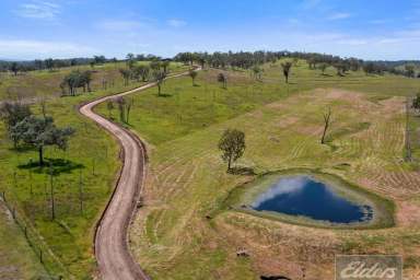 Farm Sold - QLD - Goomeri - 4601 - MILLION DOLLAR VIEWS FROM 118 ACRES!  (Image 2)