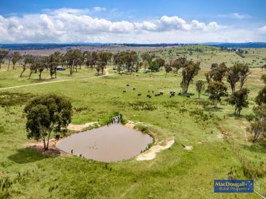 Farm Sold - NSW - Armidale - 2350 - Acreage with water security, just minutes from Armidale  (Image 2)