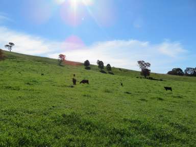 Farm Sold - NSW - Gundagai - 2722 - Only Minutes from Town  (Image 2)