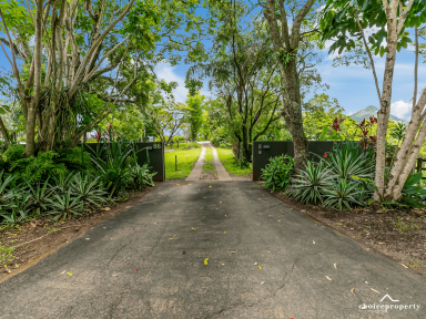 Farm Sold - QLD - Eumundi - 4562 - Spectacular views of Mnt Cooroy, two full stand alone homes, and useable acreage!  (Image 2)