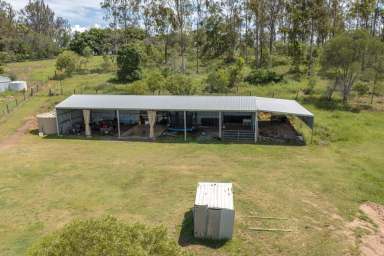 Farm Sold - QLD - Grahams Creek - 4650 - Picture Perfect  (Image 2)