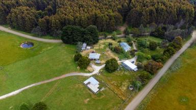 Farm Sold - TAS - Holwell - 7275 - HOLWELL HAVEN  (Image 2)