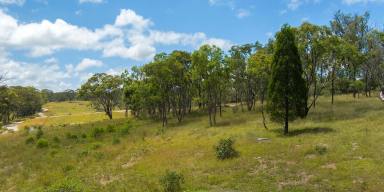 Farm Sold - NSW - Rylstone - 2849 - Small Acreage in a beautiful rural setting  (Image 2)