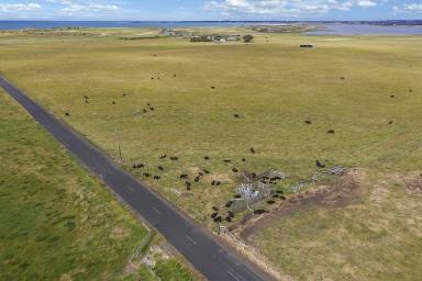 Farm Sold - VIC - Port Fairy - 3284 - UNIQUE OPPORTUNITY - CORNER SITE - OPPOSITE THE OCEAN, LOUGH AND GOLF CLUB  (Image 2)