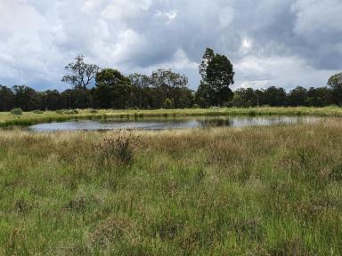 Farm Sold - nsw - Muswellbrook - 2333 - 25 Acres, 10 Minutes to Town  (Image 2)