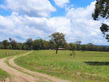 Farm Sold - nsw - Muswellbrook - 2333 - 25 Acres, 10 Minutes to Town  (Image 2)
