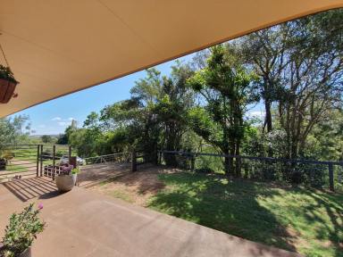 Farm Sold - nsw - Aberdeen - 2336 - Rural Living in Town  (Image 2)