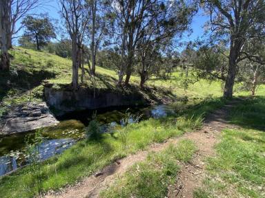 Farm Sold - nsw - Muscle Creek - 2333 - Outstanding Opportunity - 1015 Acres with Water  (Image 2)