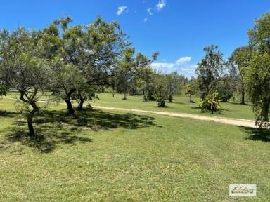 Farm Sold - QLD - Lower Wonga - 4570 - IDYLLIC LIFESTYLE ON 5 PRIVATE ACRES  (Image 2)