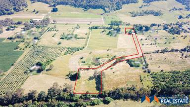 Farm Sold - VIC - Eurobin - 3739 - Extremely Rare 8 acres of land with ovens river frontage.  (Image 2)