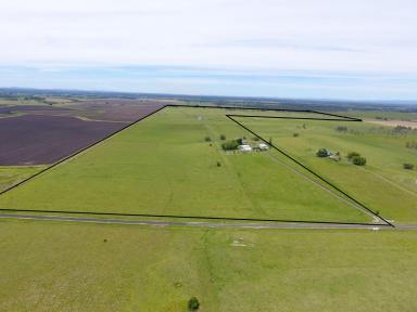 Farm Sold - NSW - Spring Grove - 2470 - 277 ACRES @ SPRING GROVE  (Image 2)