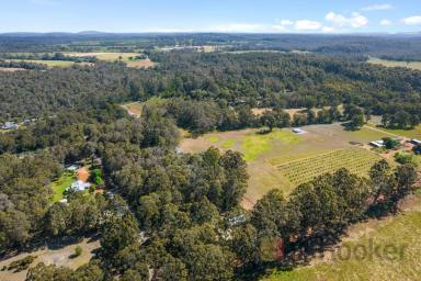 Farm Sold - WA - Northcliffe - 6262 - Lifestyle in Style  (Image 2)