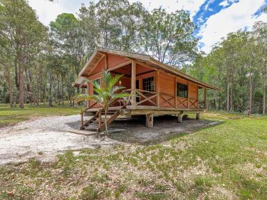 Farm Sold - NSW - Ashby - 2463 - Hinterland Lifestyle / Development Property  (Image 2)