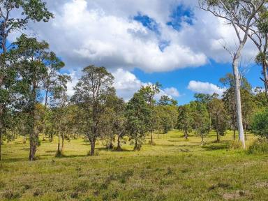 Farm For Sale - NSW - James Creek - 2463 - All Under Offer  (Image 2)