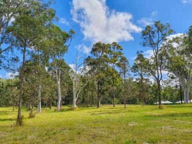 Farm For Sale - NSW - James Creek - 2463 - All Under Offer  (Image 2)
