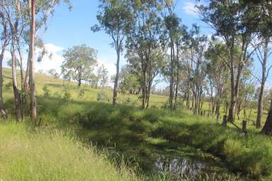 Farm Sold - QLD - Thane - 4370 - Acreage with Seasonal Creek  (Image 2)