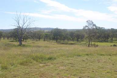 Farm Sold - QLD - Thane - 4370 - Acreage with Seasonal Creek  (Image 2)