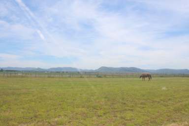 Farm Sold - QLD - Loch Lomond - 4370 - Magnificent North Facing Property  (Image 2)