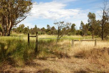 Farm Sold - VIC - Tooborac - 3522 - Sunset's & More!  (Image 2)