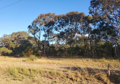 Farm For Sale - SA - Padthaway - 5271 - 19 Acres of Nature & Privacy  (Image 2)