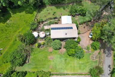 Farm Sold - QLD - Perwillowen - 4560 - Country living on a 2017m2 split level block in semi-rural Perwillowen  (Image 2)
