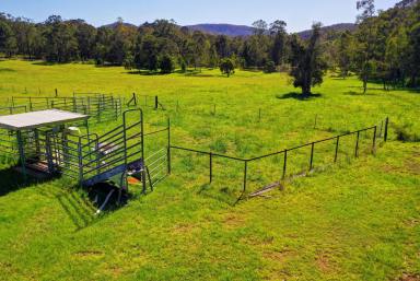 Farm Sold - NSW - Dyers Crossing - 2429 - MOTIVATED VEDOR  (Image 2)