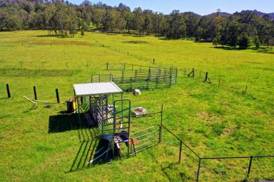 Farm Sold - NSW - Dyers Crossing - 2429 - MOTIVATED VEDOR  (Image 2)