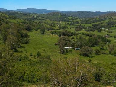 Farm Sold - NSW - Goolmangar - 2480 - Substantial Rural Holding, ‘ Lone Pine '  (Image 2)