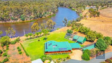 Farm Sold - VIC - Echuca - 3564 - The Ultimate Murray River Views  (Image 2)