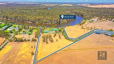 Farm Sold - VIC - Echuca - 3564 - The Ultimate Murray River Views  (Image 2)
