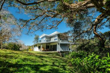 Farm For Sale - NSW - Bellingen - 2454 - Superb Residence, Bellingen River Frontage, 6 Acres, Huge Shedding and Cottage...  (Image 2)