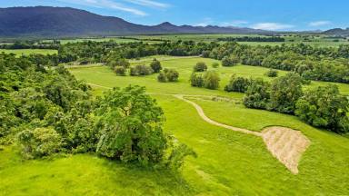 Farm Sold - QLD - Bellenden Ker - 4871 - Green Acres - Cattle Pasture 50 kms South of Cairns  (Image 2)