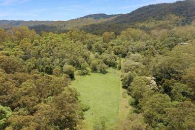 Farm Sold - QLD - Conondale - 4552 - SOLD BY BRANT AND BERNHARDT PROPERTY!  (Image 2)