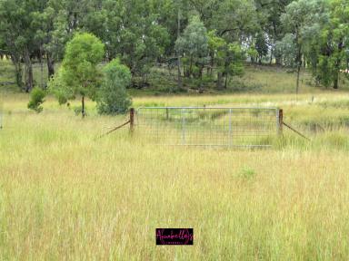 Farm Sold - NSW - Cherry Tree Hill - 2360 - Little Loretto  (Image 2)
