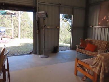 Farm Sold - NSW - Kimbriki - 2429 - WEEKENDER ON THE RIVER  (Image 2)