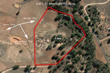 Farm For Sale - VIC - Alma - 3465 - 9.9 Hectares with Water Power Crossover Planning Permit!!  (Image 2)