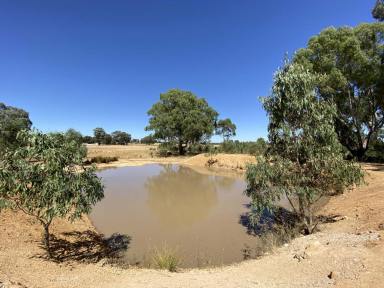 Farm For Sale - VIC - Alma - 3465 - 9.9 Hectares with Water Power Crossover Planning Permit!!  (Image 2)