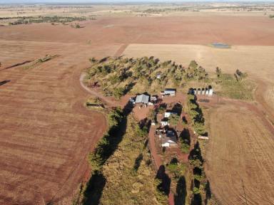 Farm Sold - NSW - Forbes - 2871 - Grow Grain Without The Pain  (Image 2)