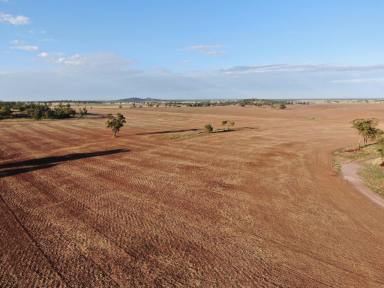 Farm Sold - NSW - Forbes - 2871 - Grow Grain Without The Pain  (Image 2)
