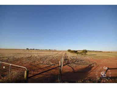 Farm Sold - SA - Angas Valley - 5238 - A Rural / Recreational Lifestyle Acreage with An Abundance of Choice  (Image 2)