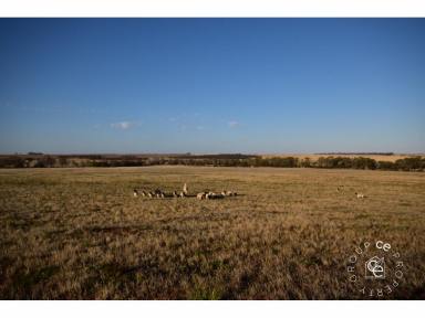 Farm Sold - SA - Angas Valley - 5238 - A Rural / Recreational Lifestyle Acreage with An Abundance of Choice  (Image 2)
