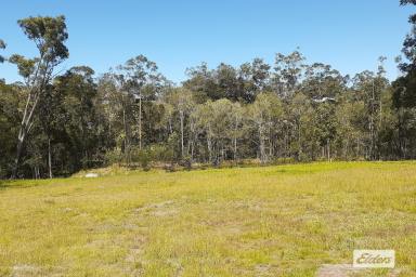 Farm Sold - QLD - Araluen - 4570 - LAND FOR SALE!  (Image 2)