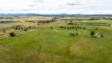 Farm Sold - NSW - Quipolly - 2343 - AFFORDABLE BUILDING BLOCK  (Image 2)
