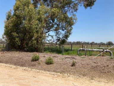 Farm Sold - WA - Uduc - 6220 - LIFESTYLE WITH OPTIONS  (Image 2)