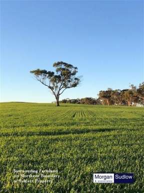 Farm Sold - WA - Yarawindah - 6509 - 5.68 Hectares Offers to Purchase - Bush Block  (Image 2)