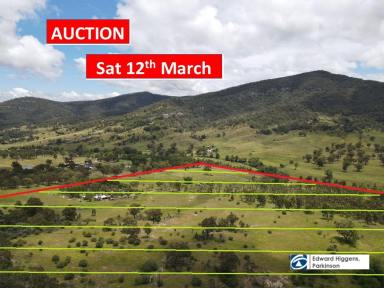 Farm Sold - NSW - Muswellbrook - 2333 - COLONIAL COUNTRY HOME AS A TWIN RESIDENCE ON 75 Ha OF NATURAL BEAUTY WITH CREEK ACCESS 10 MINUTES FROM TOWN  (Image 2)