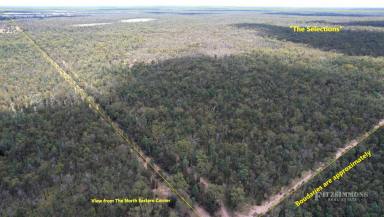 Farm Sold - QLD - Cecil Plains - 4407 - "THE SELECTIONS" WEIR RIVER DISTRICT GRAZING PROPERTY  (Image 2)